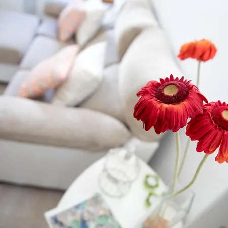 Juan Miguel By Family Homes Denia